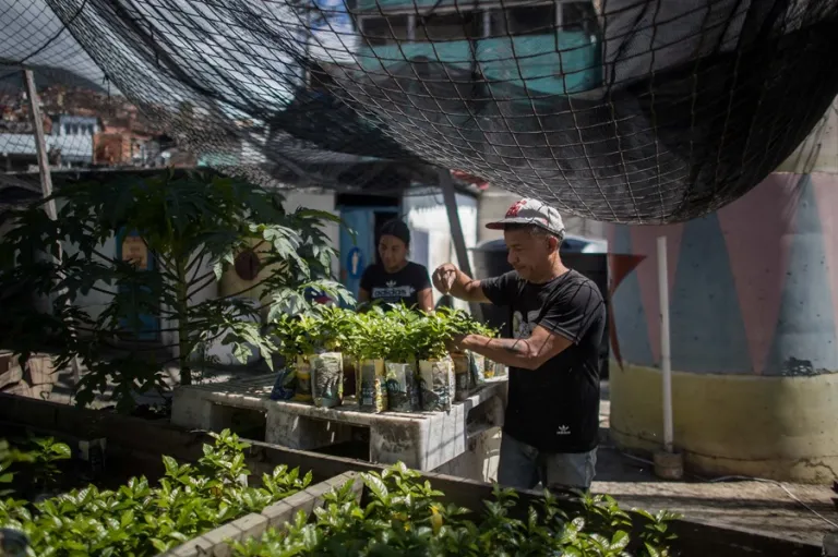 Internacional: Una marca de café con propósito social, el sueño para un barrio en Venezuela