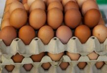 COLOMBIA: El mercado del huevo busca su equilibrio tras cuatro años de crecimiento desmedido