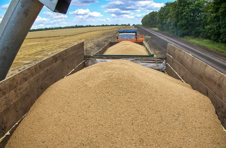 Internacional: Rusia y ONU buscan cómo renovar el acuerdo de exportación de cereal de Ucrania