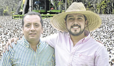 Internacional: El algodón, el cultivo local de ciclo corto más competitivo en el mercado internacional
