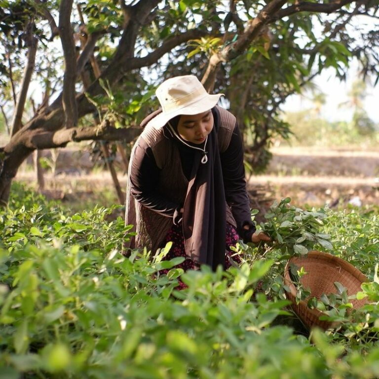Internacional: Expertos de la industria piden agricultura regenerativa para “abordar la salud del suelo” en la producción de hierbas