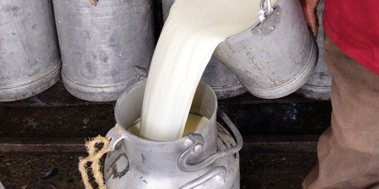 La promoción de la leche cruda se intensifica en todo Estados Unidos