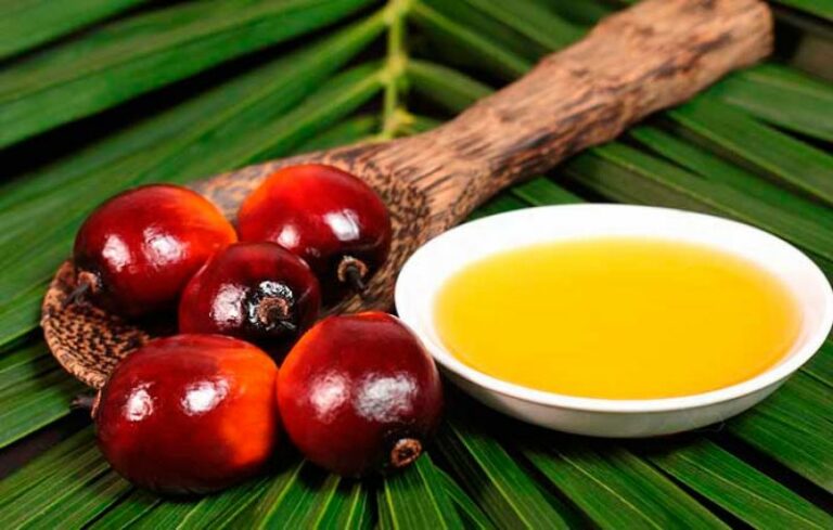 El aceite de palma se mantiene estable al inicio de la semana en medio de tensiones globales