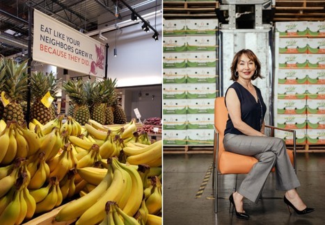 Internacional: El incremento de los costes sigue presionando a los productores y expedidores de banano ecológica