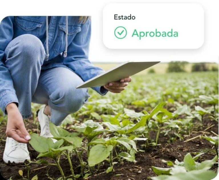 Internacional: Blockchain permite a agricultores peruanos abrirse paso en los mercados más exigentes