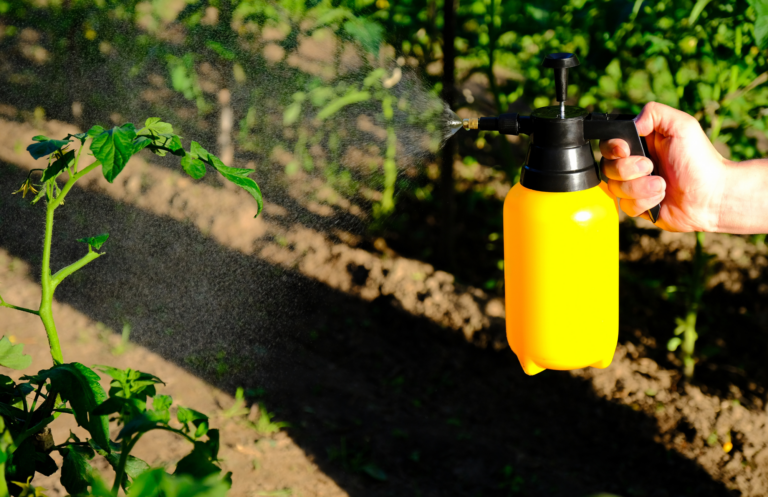 Guía de uso de los aminoácidos en las plantas