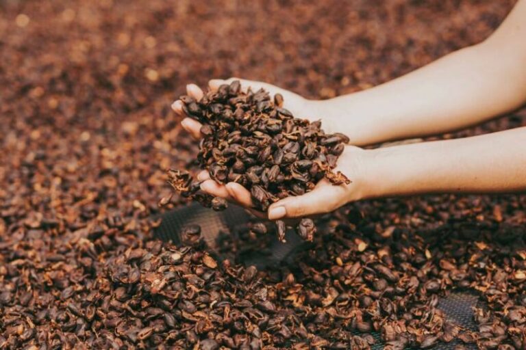 Internacional: Perú exporta sus primeras 6 toneladas de cáscara de café orgánico a Alemania