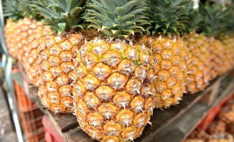 Resumen del mercado global de la piña