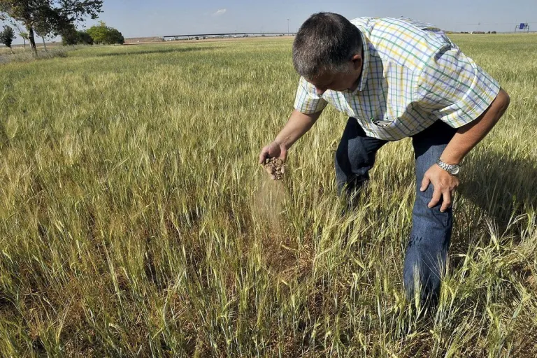 Internacional: Los cultivos asfixiados por la sequía pasan del 60 % al 80 % en sólo un mes
