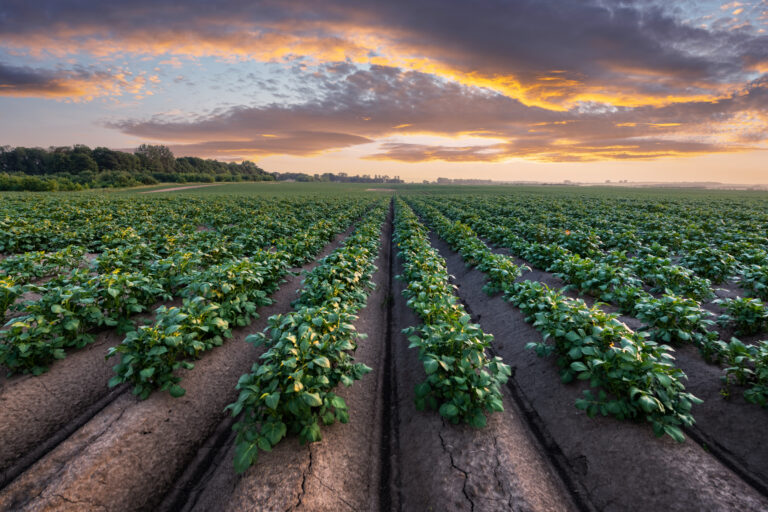 Internacional: Más de 40 expertos internacionales se dan cita para analizar el presente y futuro de la nueva agricultura