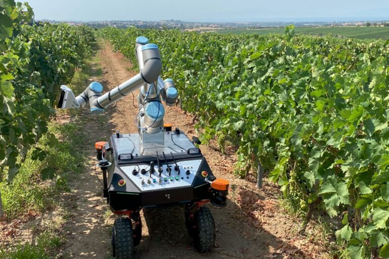 Robots para agricultura: hacia un mayor aprovechamiento de los recursos