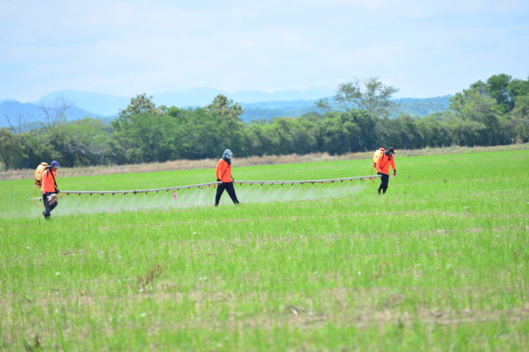 Internacional: Alianza regional impulsa la agricultura sostenible