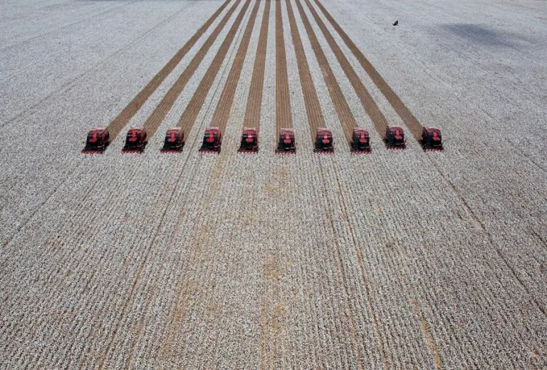 Internacional: Los Ministros de Agricultura de la UE esperan tratar el martes el pacto comercial con Mercosur