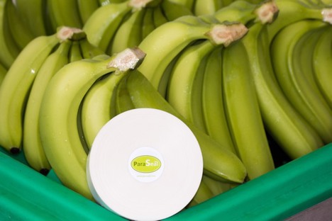 Internacional: “El lema #WeSpeakBananos viene de servir al sector como productores y exportadores durante muchos años”