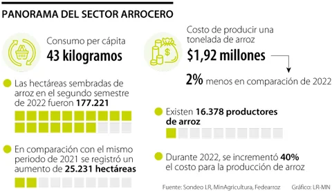 Internacional Colombia: Gobierno puso sobre la mesa $20.000 millones para el incentivo arrocero de este año
