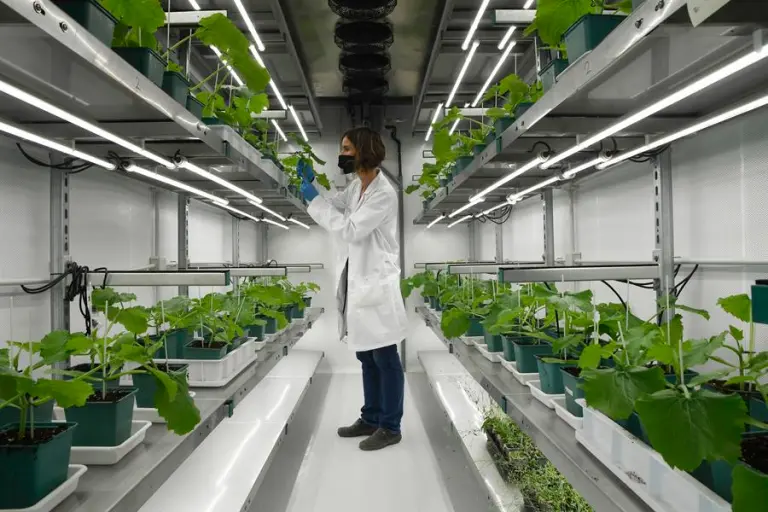Internacional: ¿Puede la inteligencia artificial (IA) ayudar a frenar las sequías en los próximos años?