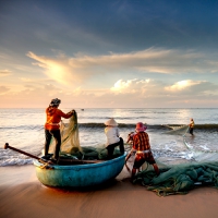 Internacional: Los científicos del clima dan la voz de alarma para intensificar la gobernanza de la pesca en medio del calentamiento de los océanos y los cambios climáticos