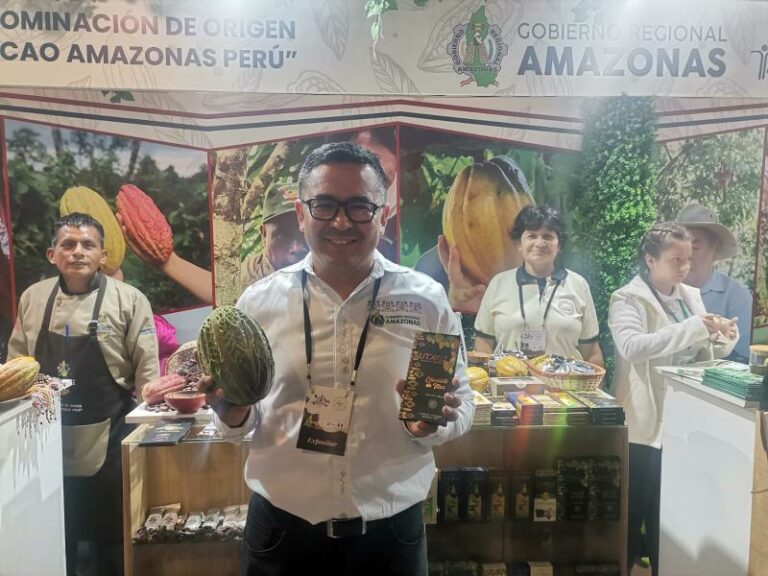 Internacional: Amazonas tiene más de 200 genotipos de cacao que son propios de la región