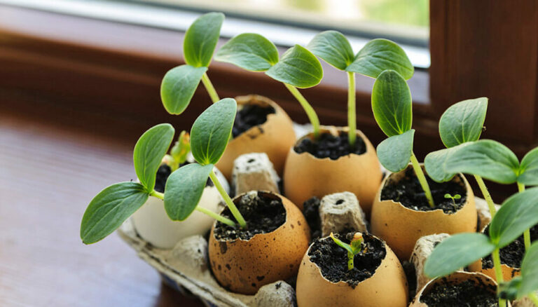 10 ideas para hacer semilleros con materiales reciclados