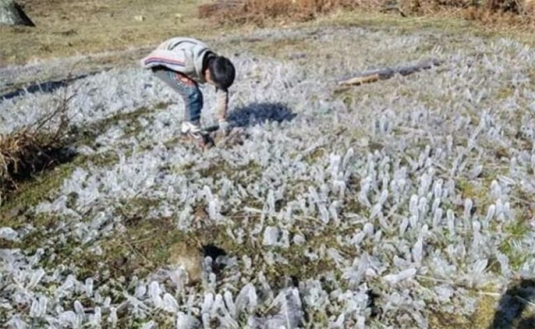 Internacional: Bajas temperaturas ponen en riesgo a 3.6 millones de hectáreas agrícolas en Perú