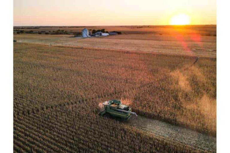 Internacional: Los cambios genéticos han afectado la tolerancia del maíz al estrés por calor moderado y severo