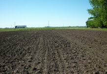 Microorganismos funcionales: cómo la ciencia y el suelo están transformando la agricultura chilena