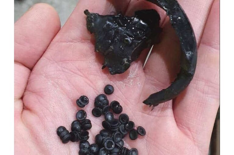 El sector de la acuicultura apunta a un mejor reciclaje de plásticos