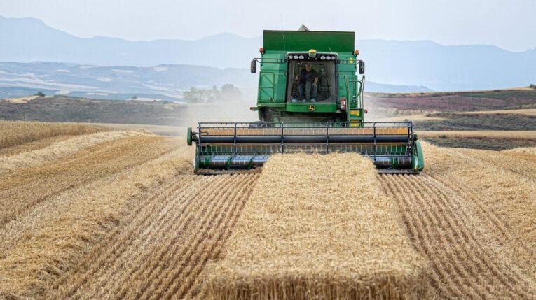 Internacional: Precios de trigo y maíz suben sin “corredor del grano” para Ucrania
