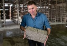 Internacional: Las ventajas que tienen las casas construidas con cannabis