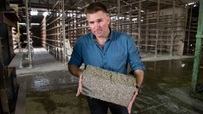 Internacional: Las ventajas que tienen las casas construidas con cannabis