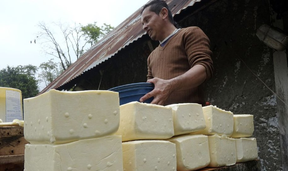 Internacional Venezuela: Expertos afirman que sector lácteo debe apostar a las exportaciones