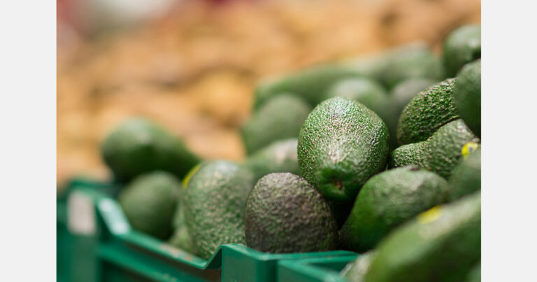 Internacional: Ideas para prevenir la brecha en la demanda de aguacate prevista para 2030