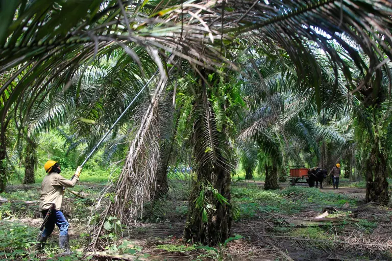 Internacional: El FIDA alerta del fracaso de las inversiones rurales si no se adaptan al clima
