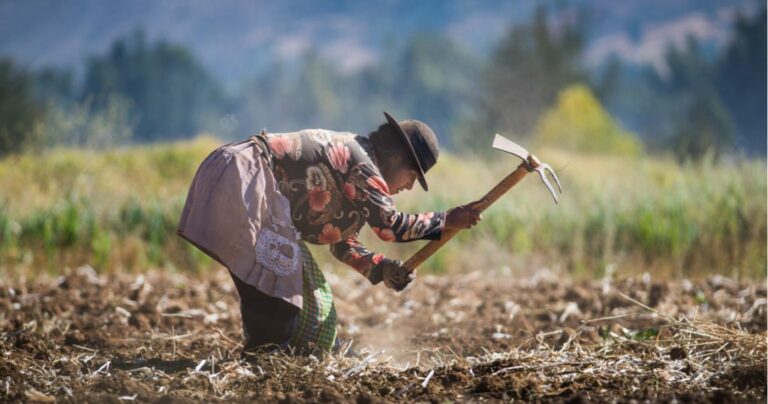 El Día mundial de la agricultura, una reflexión sobre su importancia a nivel Global