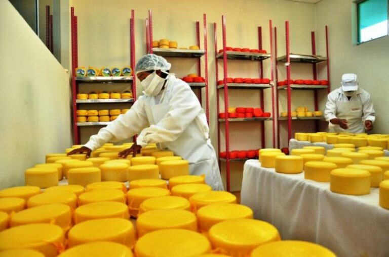Internacional: Consumo per cápita de queso en Perú casi se duplicó en los últimos 15 años