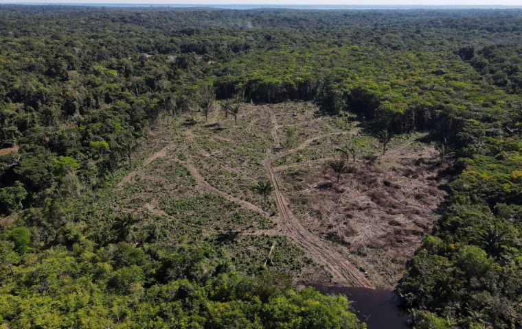 Internacional: Brasil necesita 47.000 millones de dólares para recuperar bosques