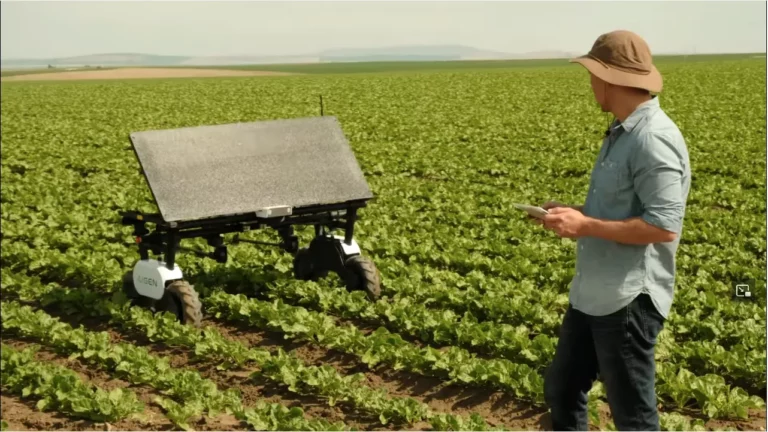 Robot autónomo y de energía solar revoluciona la eliminación de malas hierbas en los cultivos