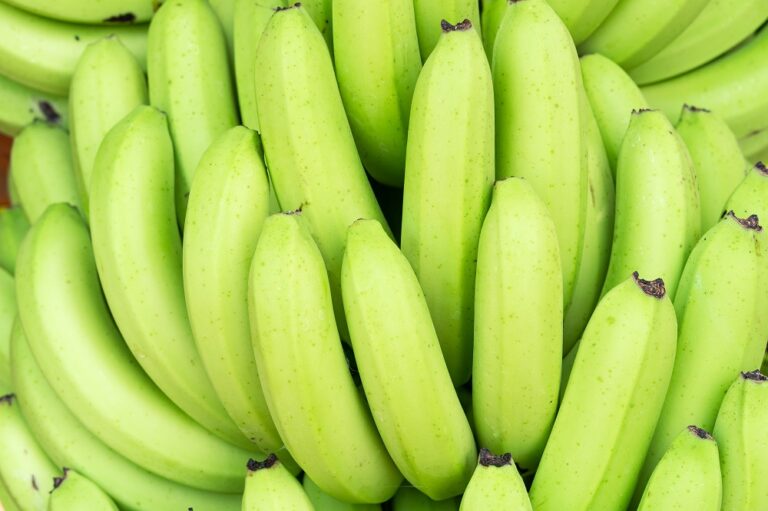 El suministro de banano Fairtrade se mantiene estable en 2026
