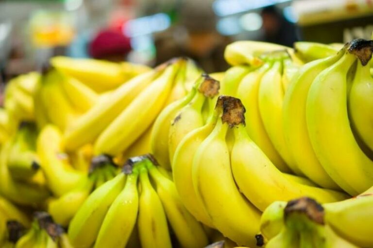 El hongo más letal del banano avanza en la región: esto hace Costa Rica para evitar su entrada