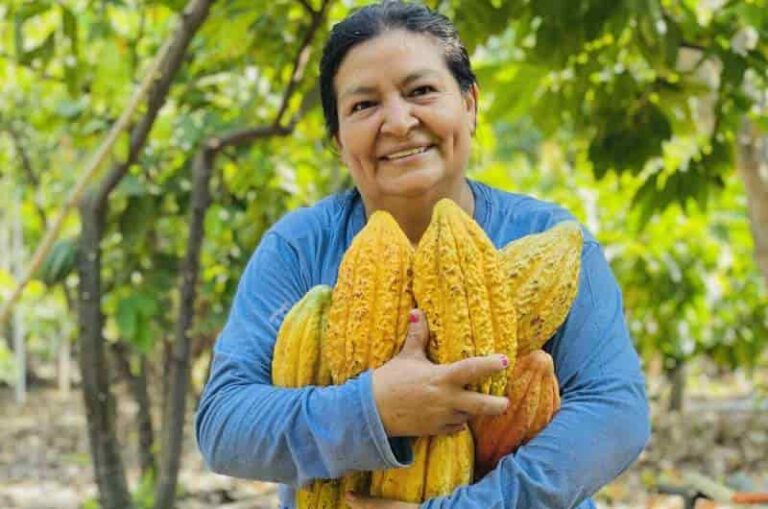Internacional-Investigadores mapean cadmio en cacao: ‘El problema no es tan malo como pensábamos’