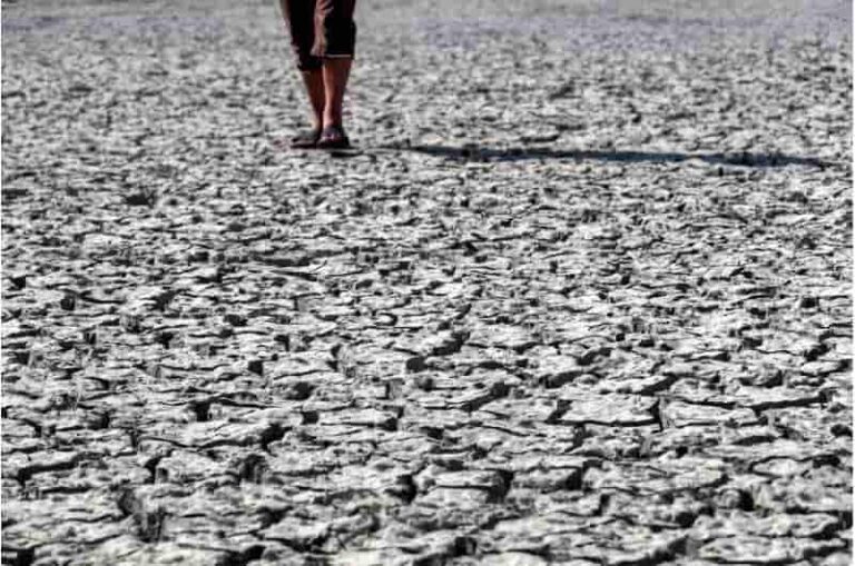 Irak, con escasez de agua, seca granjas piscícolas