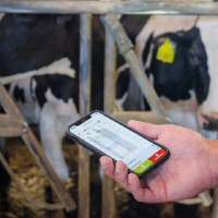Internacional: Smaxtec avanza en la producción lechera mediante la detección de mastitis impulsada por IA