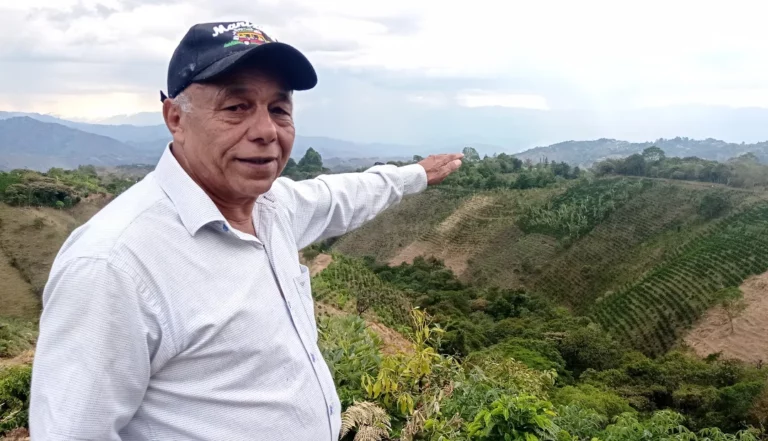 Internacional Colombia: Cafeteros entraron al mercado de los bonos de carbono con sistemas agroforestales
