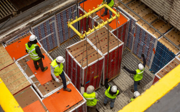 Internacional Chile: El control de plagas y enfermedades es la base de la importación y exportación
