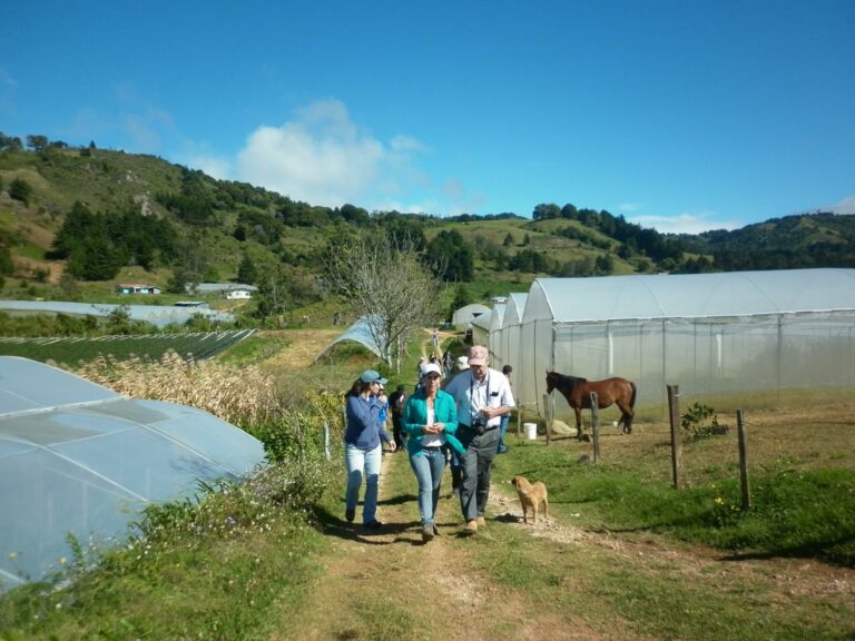 Internacional: IICA Lanza Concurso de Experiencias de Agrobioturismo en América Latina para Potenciar la Bioeconomía y el Turismo