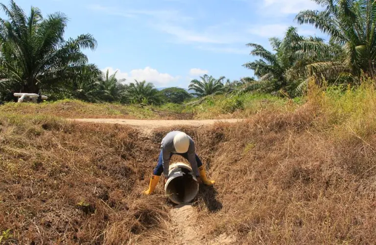 Internacional: La agricultura debe gestionar la escasez de agua que sufren 2.400 millones de personas