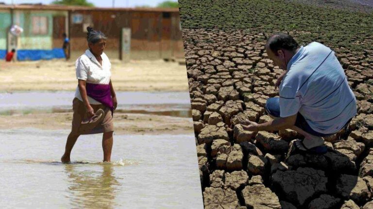 Internacional Perú: Pérdidas por el Niño Global podrían alcanzar los S/ 11,900 millones, equivalente al 58.8% del VBP agrícola nacional
