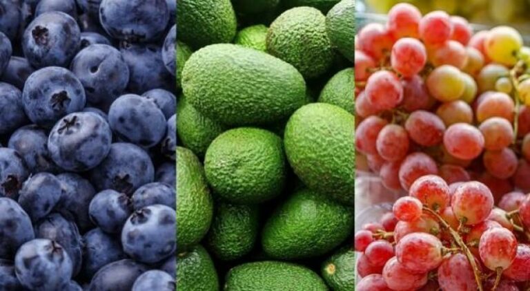 Internacional: ¿Qué productos del sector alimentos tienen potencial exportador?