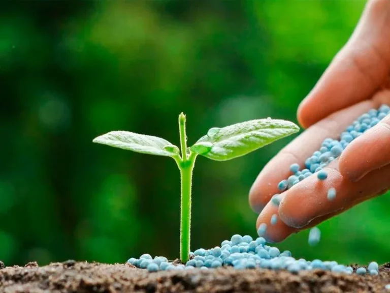 IICA y TFI impulsan acuerdo para  garantizar el abastecimiento de fertilizantes en América