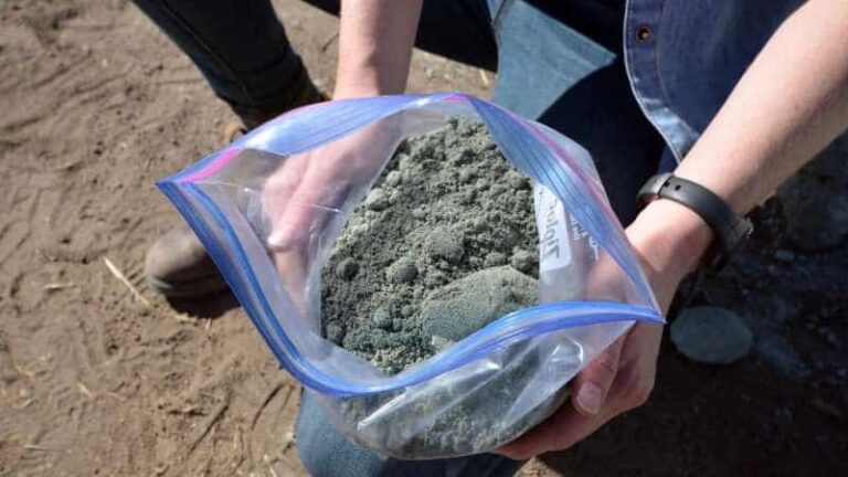 Agregar roca triturada a las tierras de cultivo extrae carbono del aire, según muestra una prueba de campo